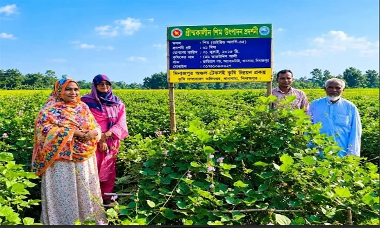 নতুন জাতের শিম চাষে সফল ময়েজ উদ্দিন